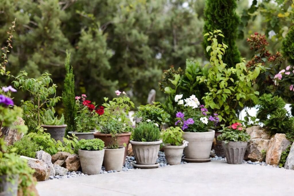 Como Organizar Seu Jardim Pequeno: Ideias Minimalistas e Fáceis para Iniciantes no Lar Moderno 8 Como Organizar Seu Jardim Pequeno: arranjo minimalista de vasos de concreto e terracota com flores coloridas, suculentas e ervas em um espaço compacto. Ideias fáceis e sustentáveis para criar um refúgio verde no lar moderno, mesmo sem experiência em jardinagem.